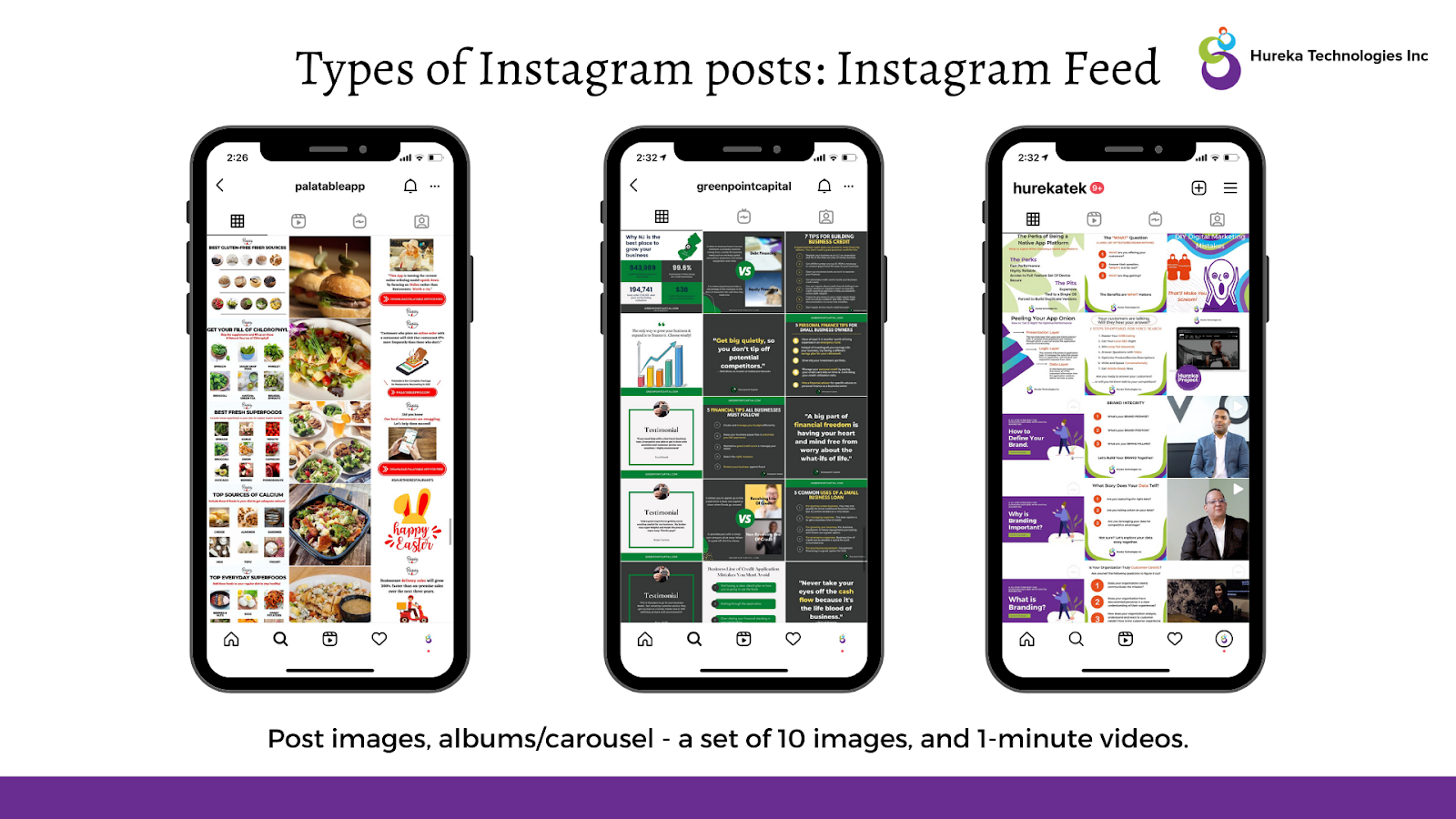 Illustration showing how Instagram Feed looks like using brands like Palatable, Hureka Technologies & Greenpoint Capital