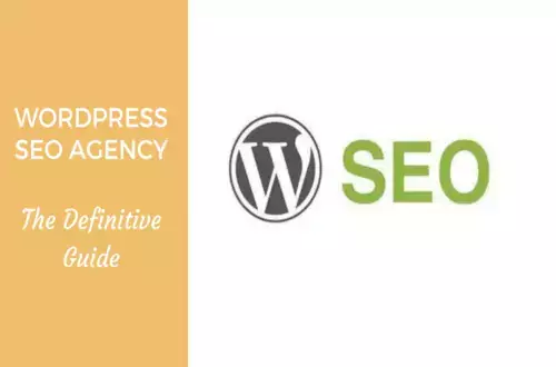 Wordpress SEO Agency : The Definitive Guide